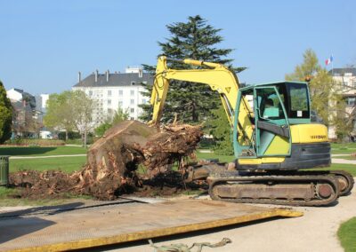 Dessouchage Langon et Sauveterre sur Guyenne - 3Terrassement - 04