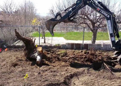 Dessouchage Langon et Sauveterre sur Guyenne - 3Terrassement - 07