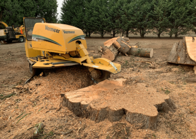 Dessouchage Langon et Sauveterre sur Guyenne - 3Terrassement - 09